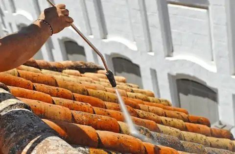 Nettoyage de toitures - Dagneux